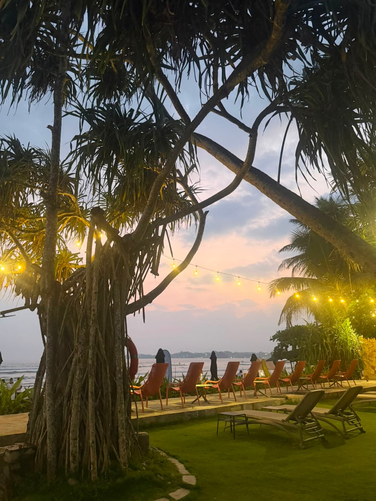 Sunset over the seafront lawn